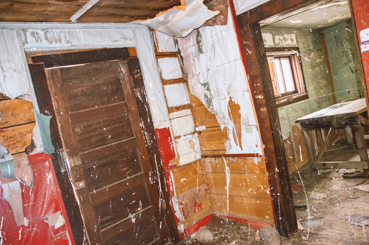 Mold Remediation service in Missouri City, TX