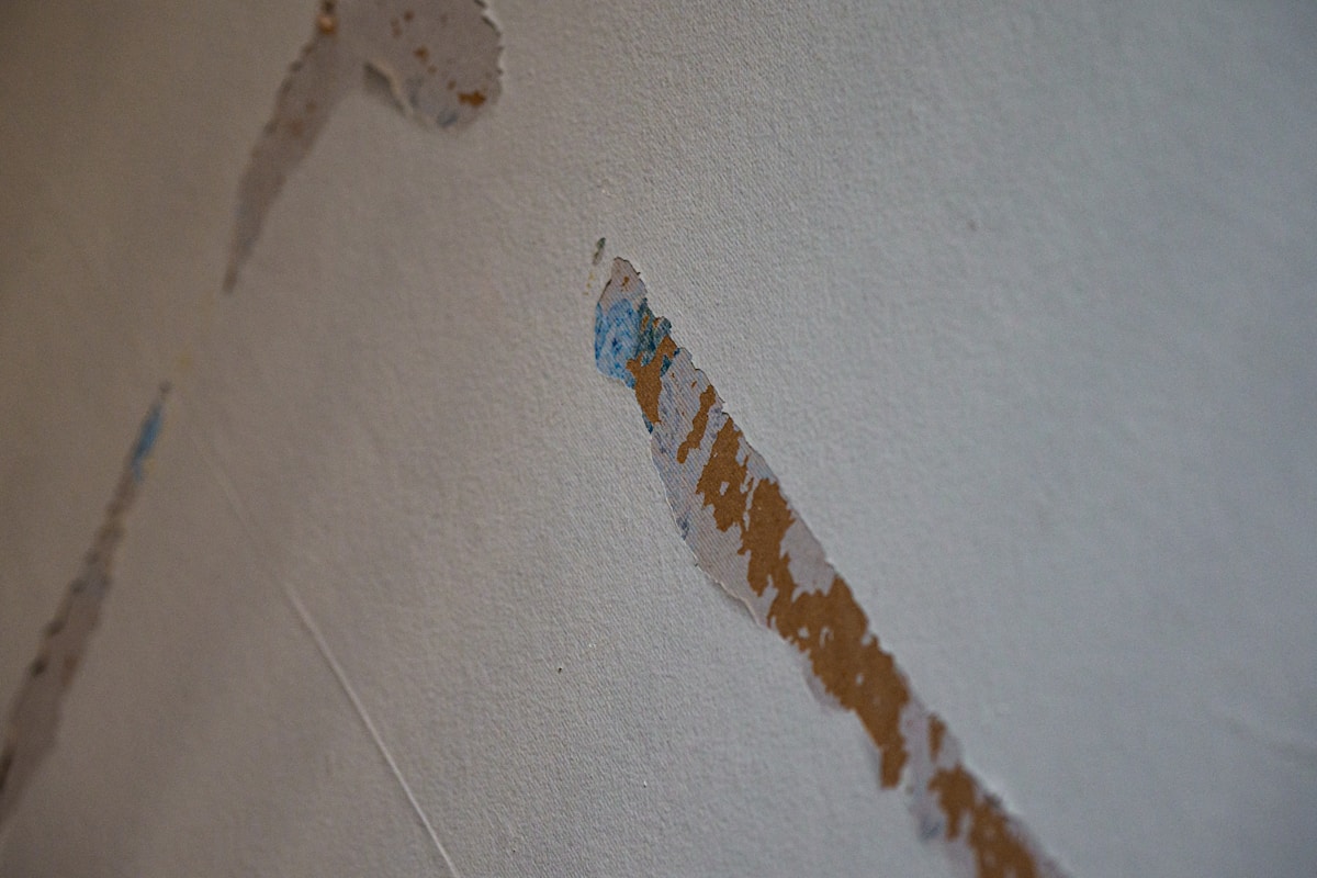 Basement Water Removal service in Missouri City, TX